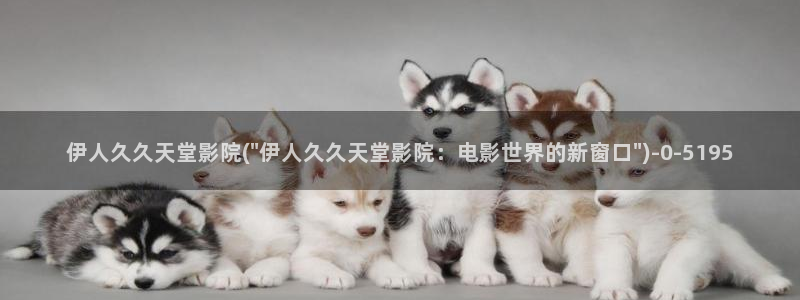 伊人丁香网视频在线