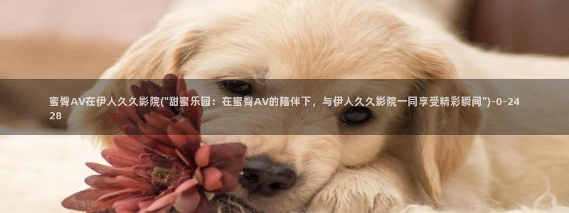 日本伊人4综合网视频