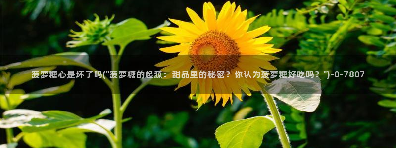 糖心出品vlog一区二区