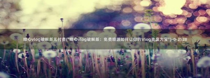 糖心vlog网页版