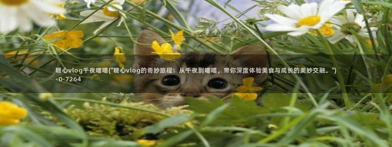 糖心vlog官方版