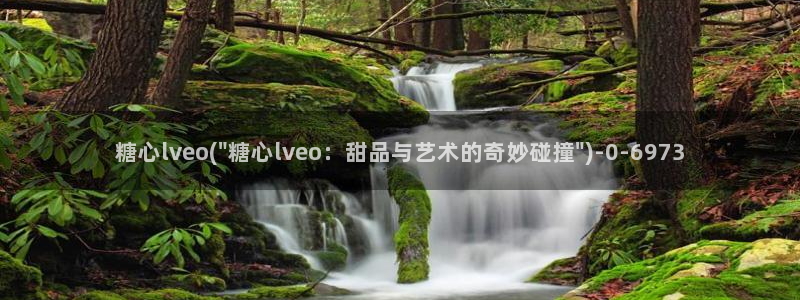 糖心vlog破解教程