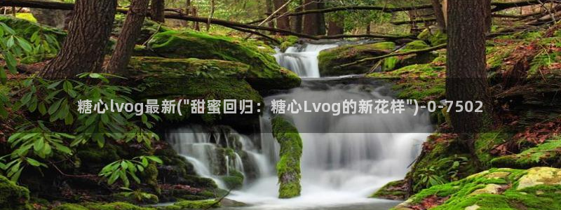 糖心vlog在线观看