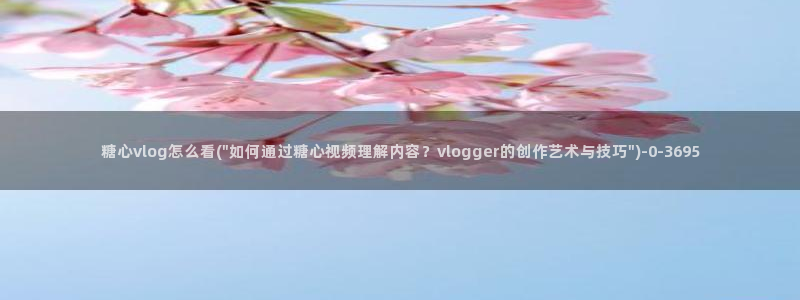 t糖心vlog
