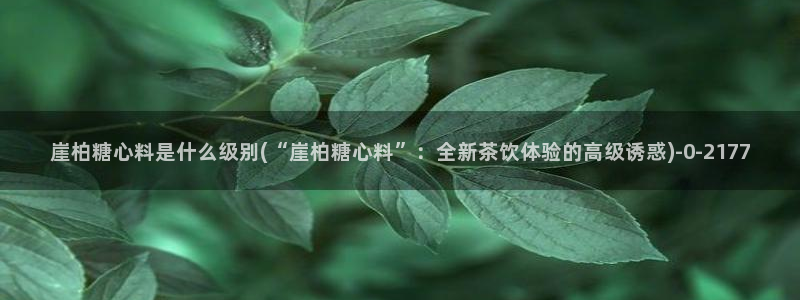 糖心vlog官网ios版本