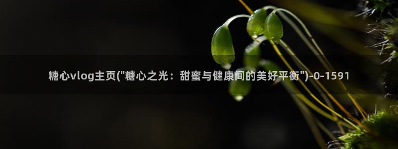 糖心少女vlog观看