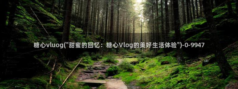心糖vlog