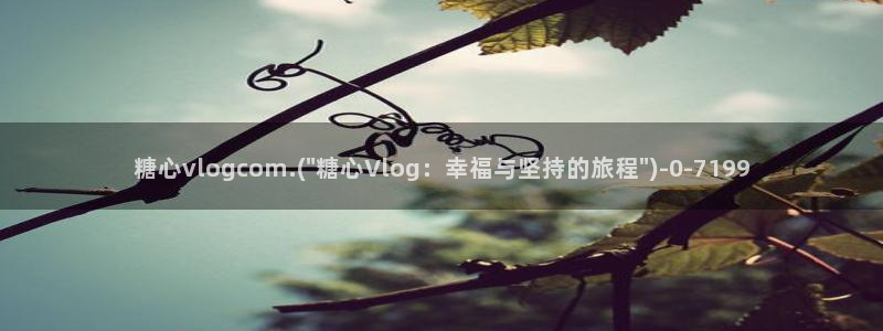 糖心vlog最新入口