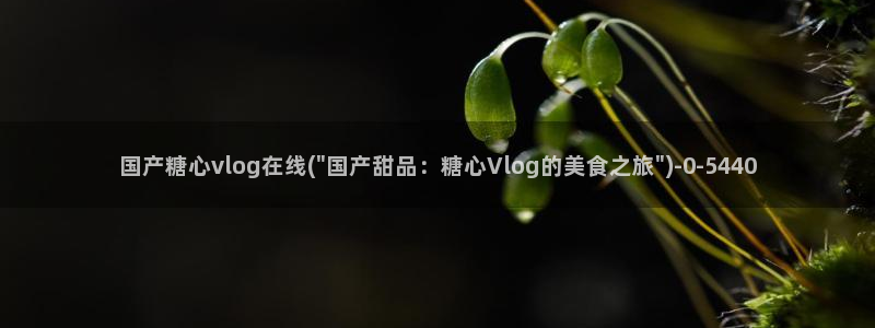 心糖vlog免费