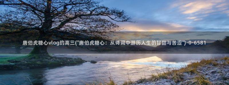 糖心vlog苹果轻量版