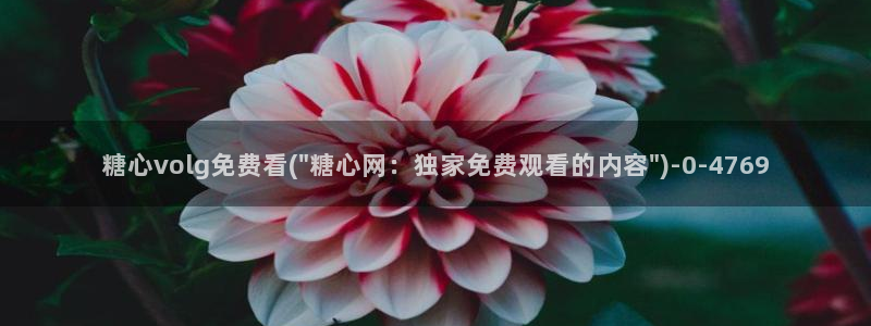 糖心vlog贴吧