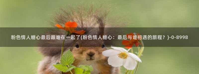 糖心vlog色破解版